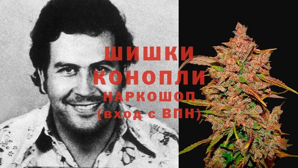 шишки Новодвинск