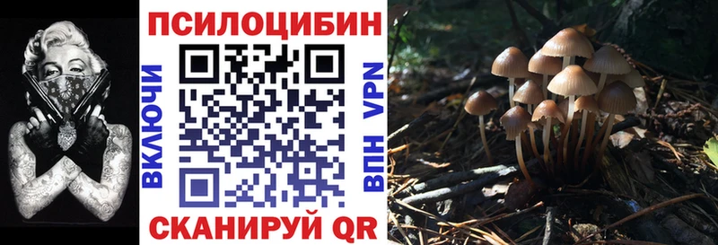 Галлюциногенные грибы Magic Shrooms  где купить наркоту  Усолье 